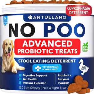 No Poo Chews: The Solution for Coprophagia in Dogs