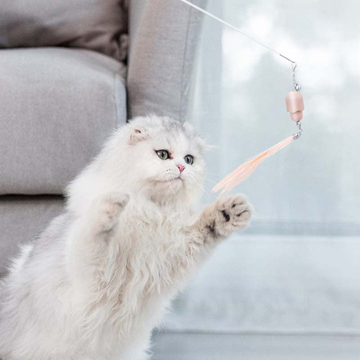 Elevate Your Cat's Playtime with the Cat Toy Laser Set Feather Stick