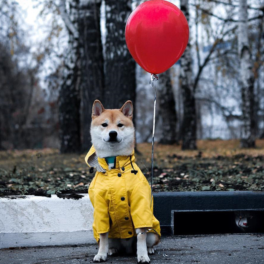 Keep Your Pet Cozy and Dry with Our Windproof and Rainproof Pet Jacket