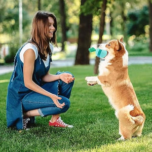 Interactive Treat Dispensing Large Dog Toy: The Ultimate Fun and Learning Tool for Your Dog