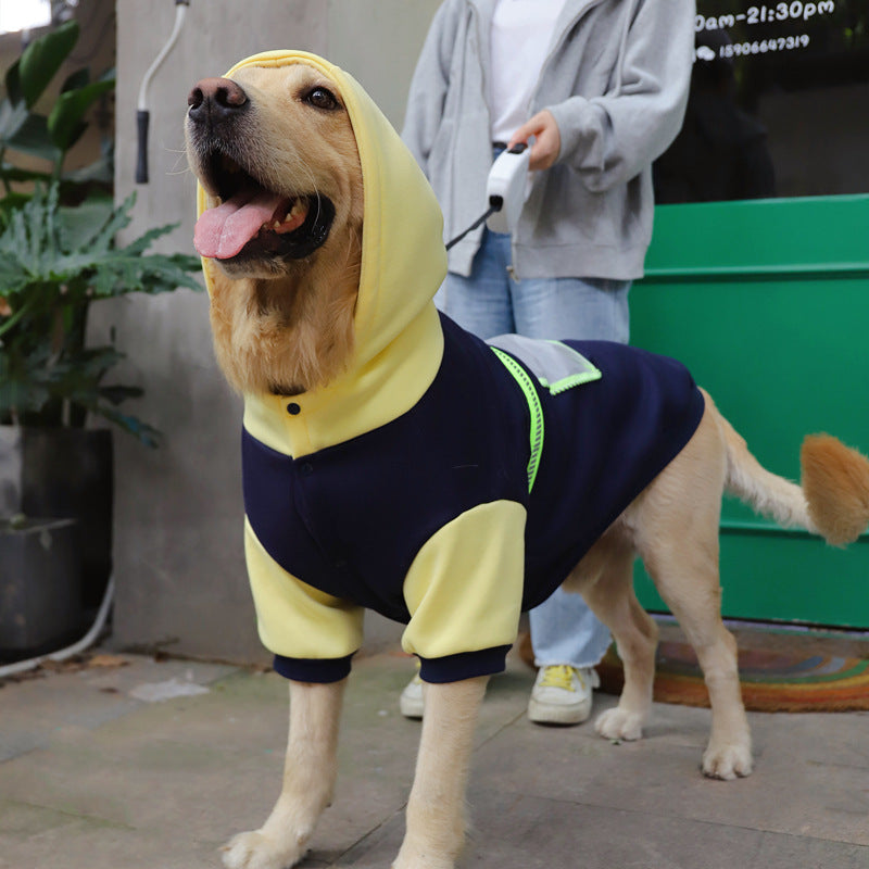 Why Your Large Dog Deserves This Cozy Sweater