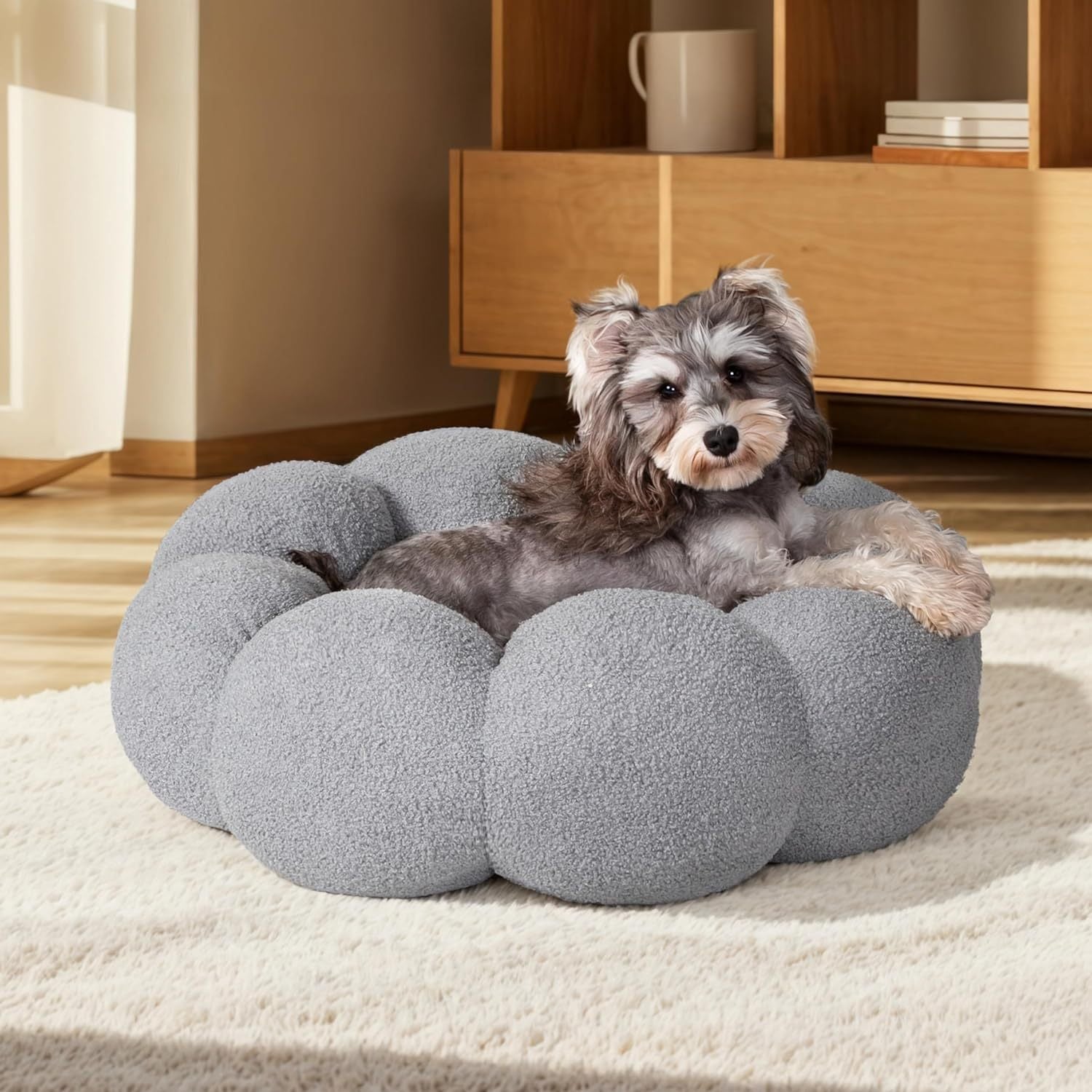 The Comfort Your Pet Deserves