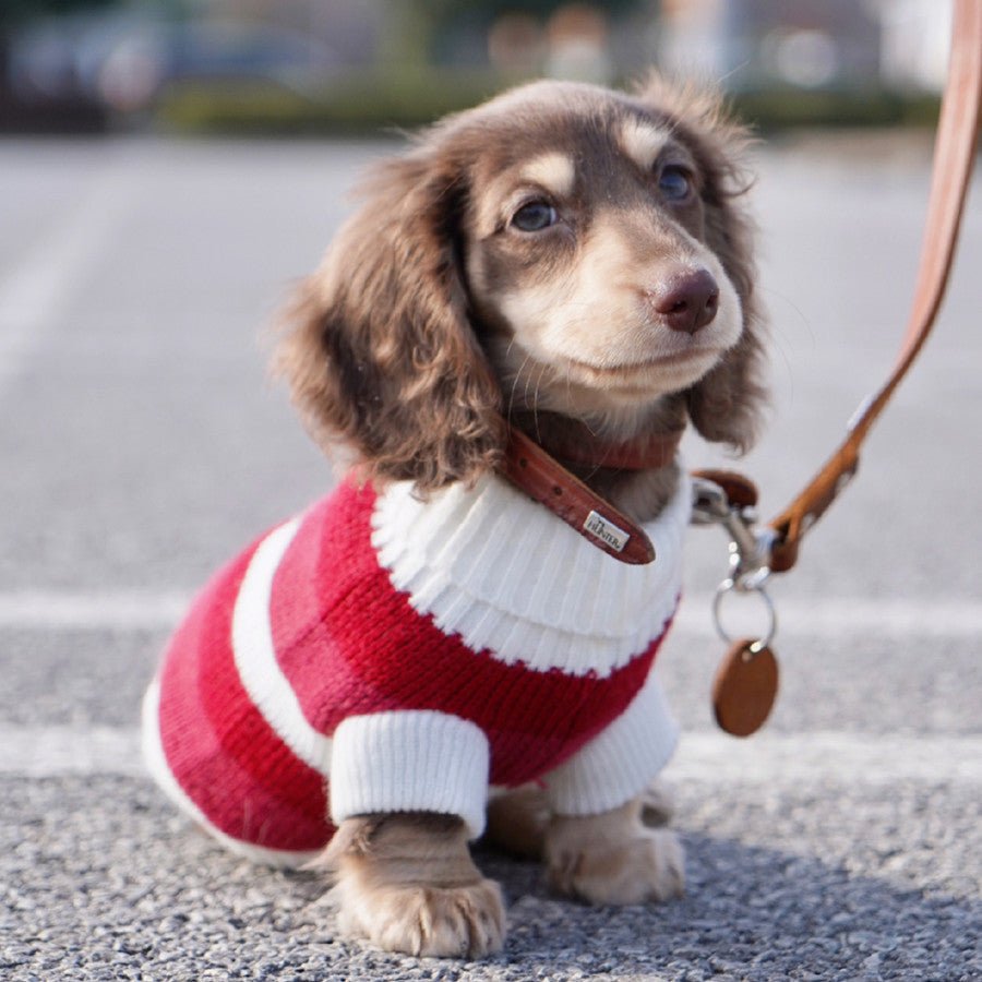 Cozy Up Your Furry Friend with Our Warm Striped Sweater - Drool Depot