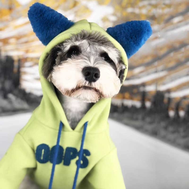 Elevate Your Cat's Style with the VIP Cat Plus Velvet Pet Sweater - Drool Depot