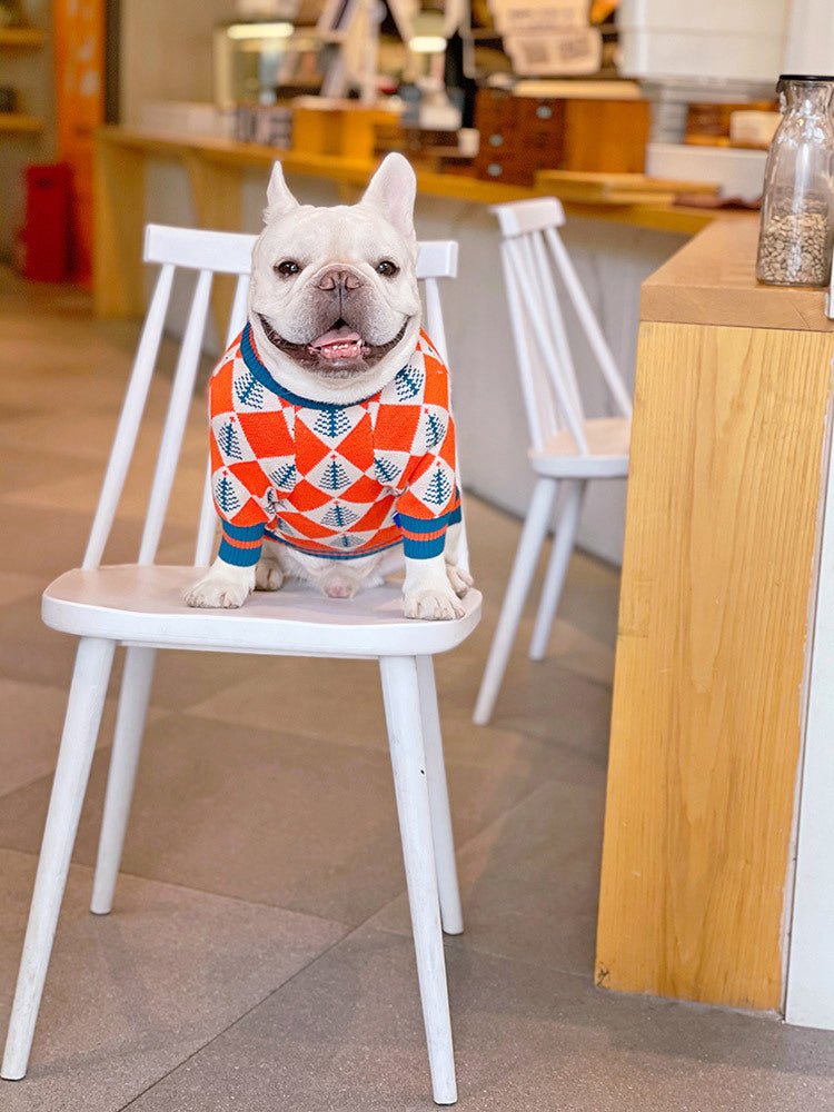 Keep Your Pet Cozy with Our Stylish Wool Sweater - Drool Depot