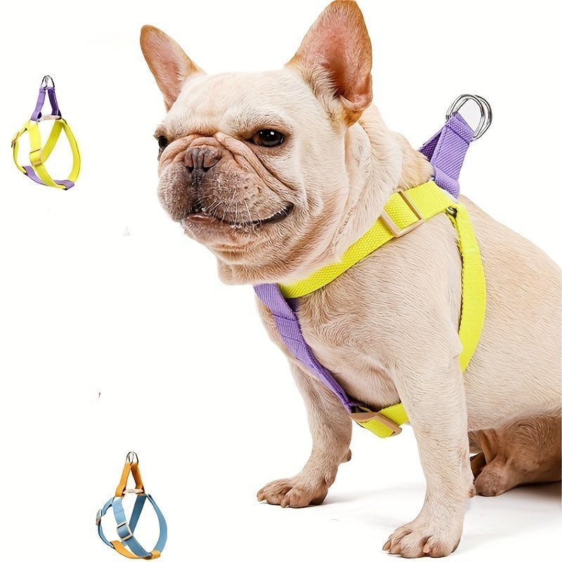 Rainbow Colorblock Pet Leash Set