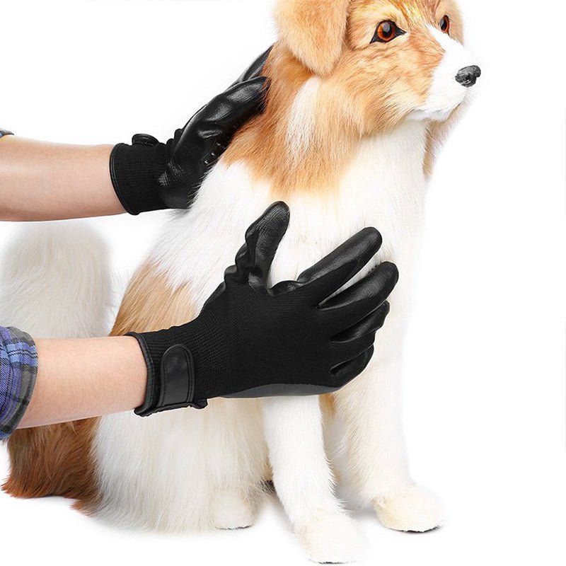 Transform Your Pet Grooming Routine with Pet Hair Grooming Gloves - Drool Depot