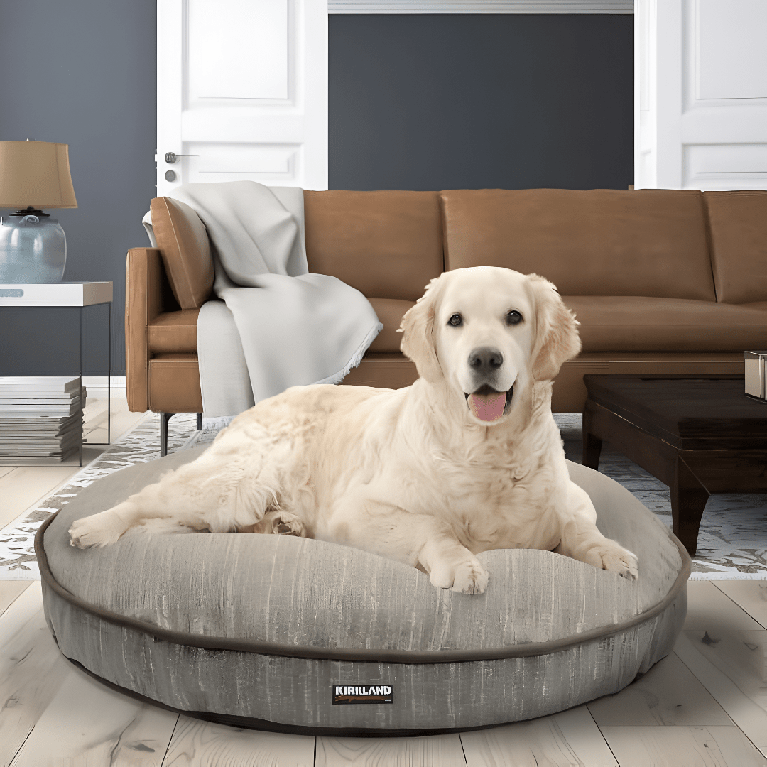 Why Every Pet Deserves the Perfect Bed - Drool Depot