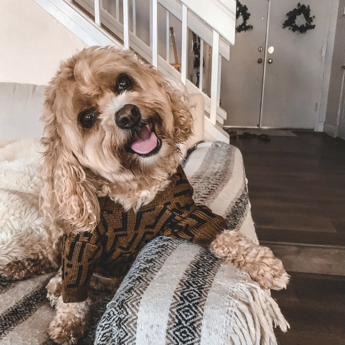 Puppy Casual Brown Letter Sweater
