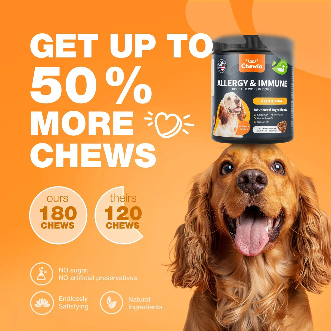 Dog Allergy Relief Chews for Itch and Skin Health Support