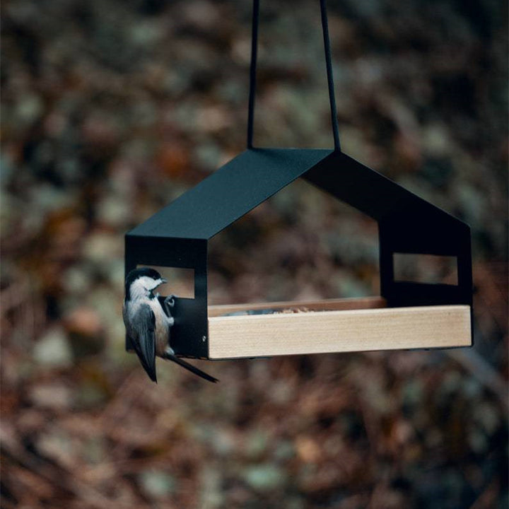 Outdoor Garden Hanging Bird Feeder