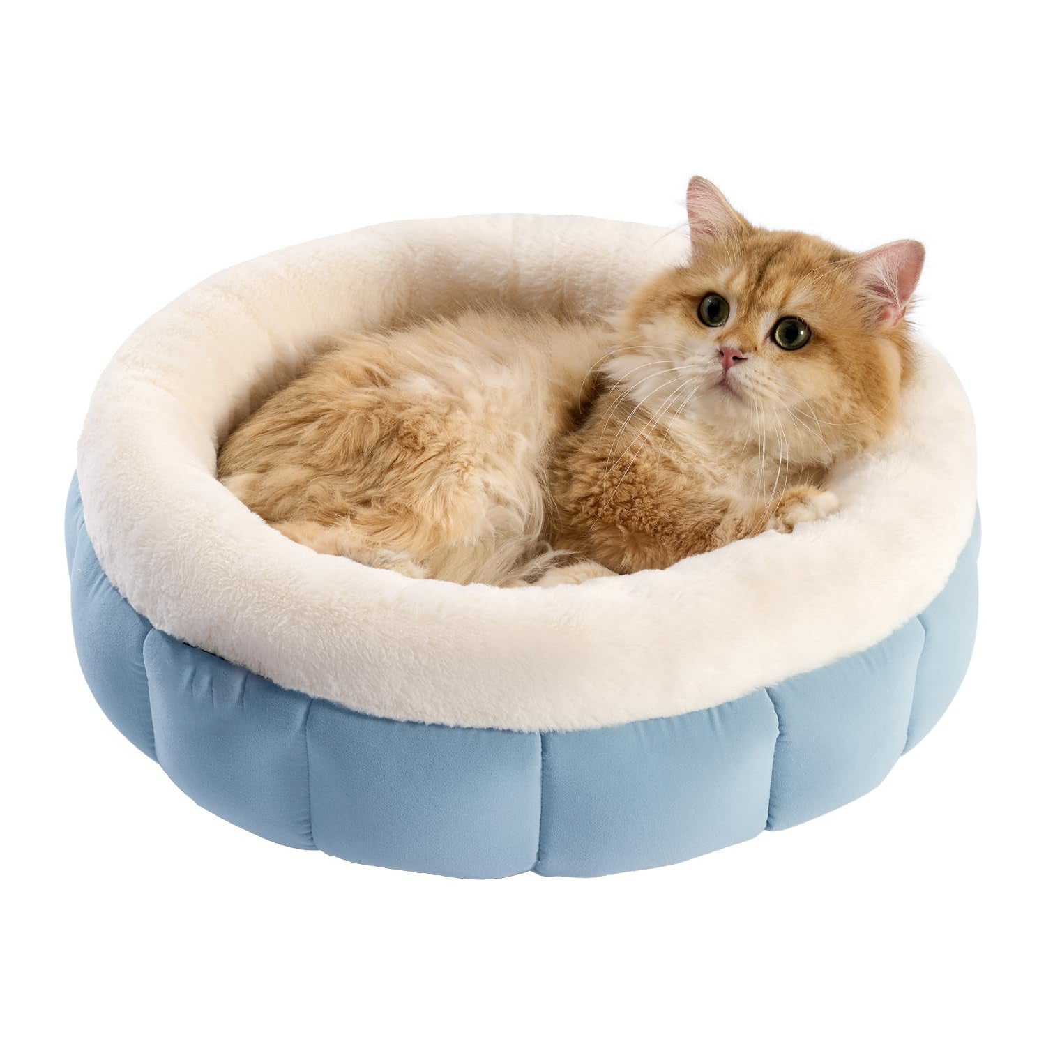 Donut Washable Pet Bed