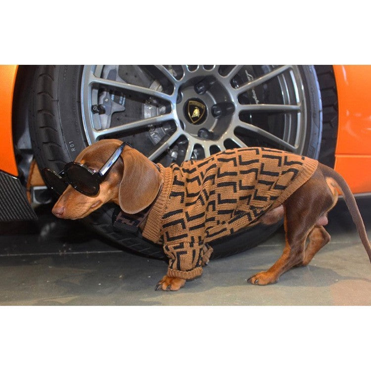 Puppy Casual Brown Letter Sweater