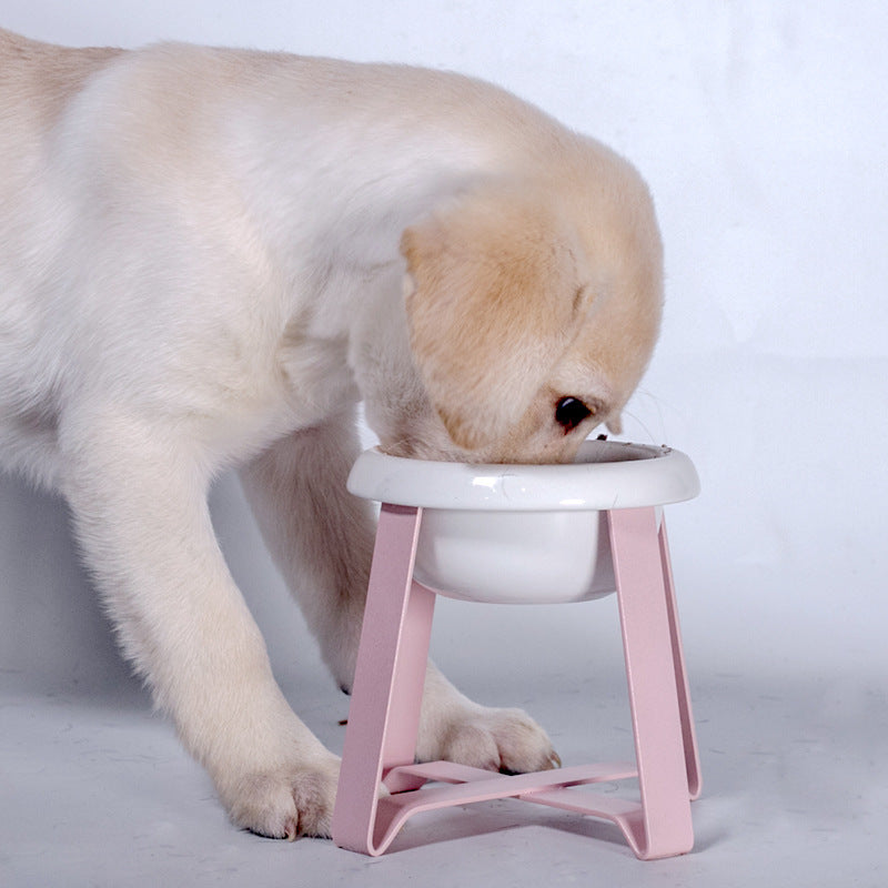 Creative Antislip Pet Feeding Bowl
