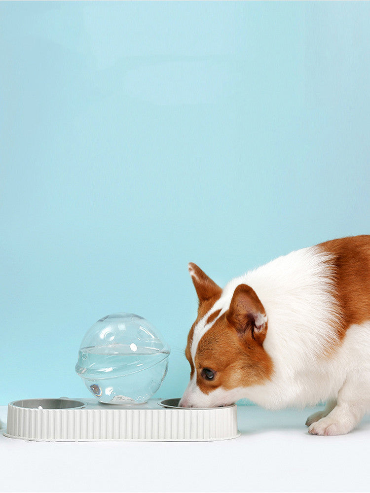 Plastic Automatic Animal Pet Bowl