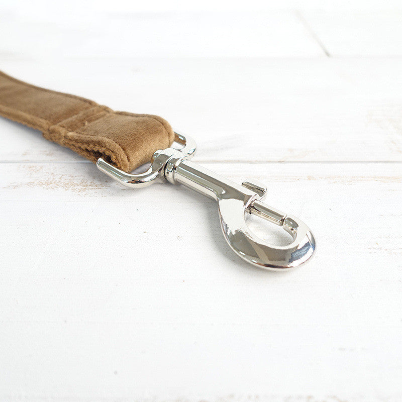 Pet dog ring leash