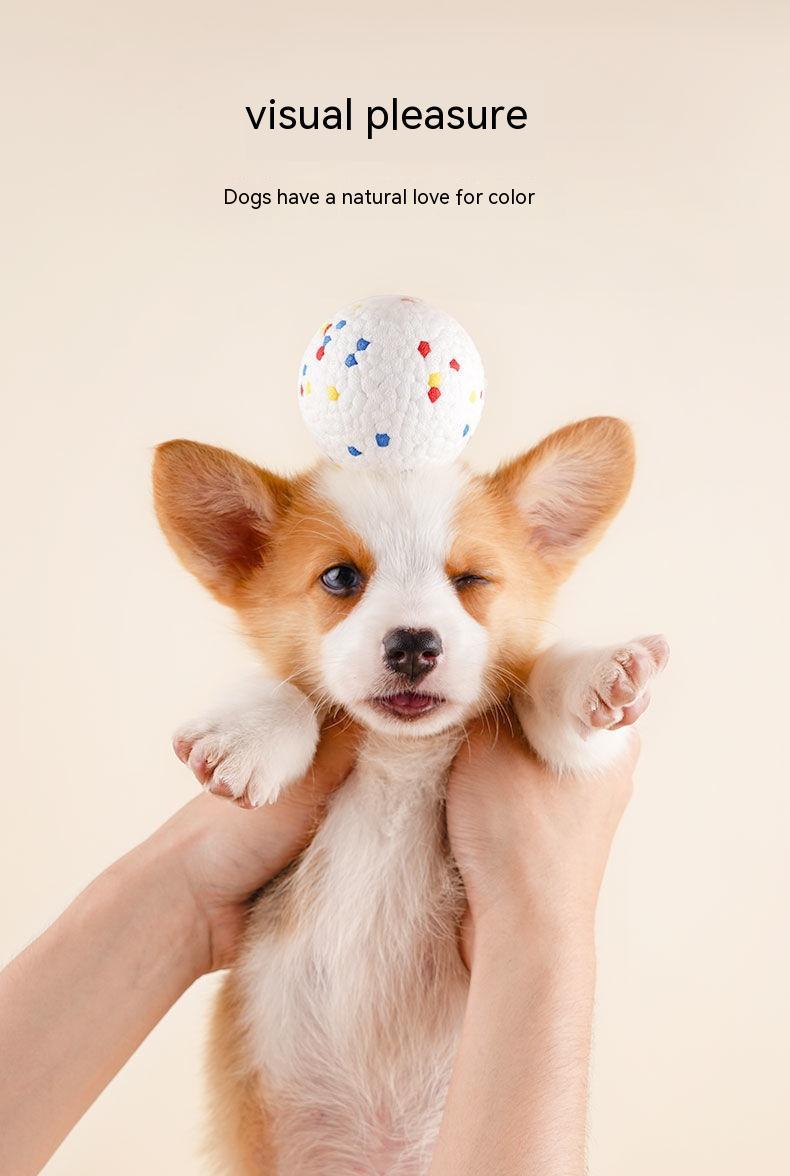 Bite-resistant Large Dog Toy