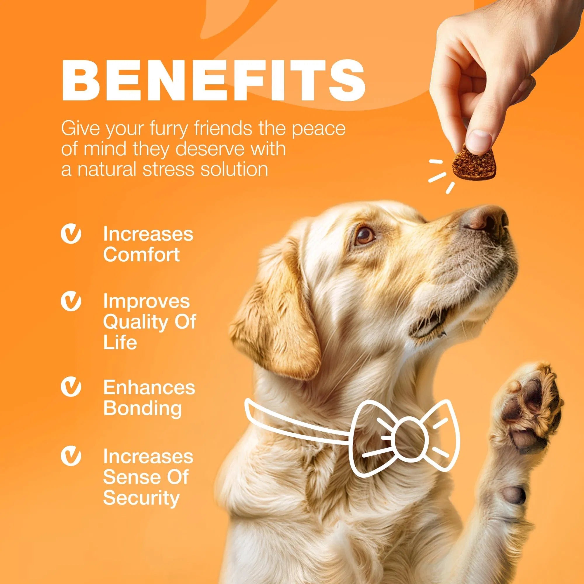 Dog Allergy Relief Chews for Itch and Skin Health Support