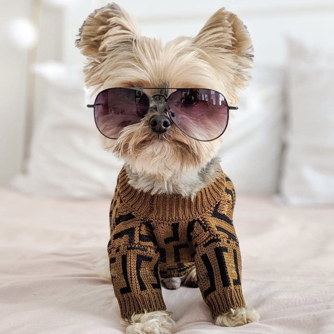 Puppy Casual Brown Letter Sweater