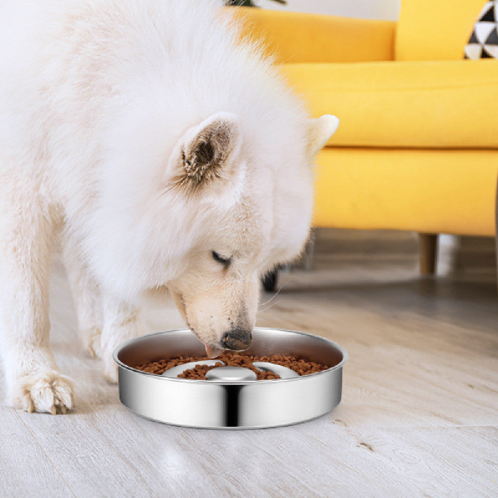 Pet Slow Feeding Bowl Neck Protector