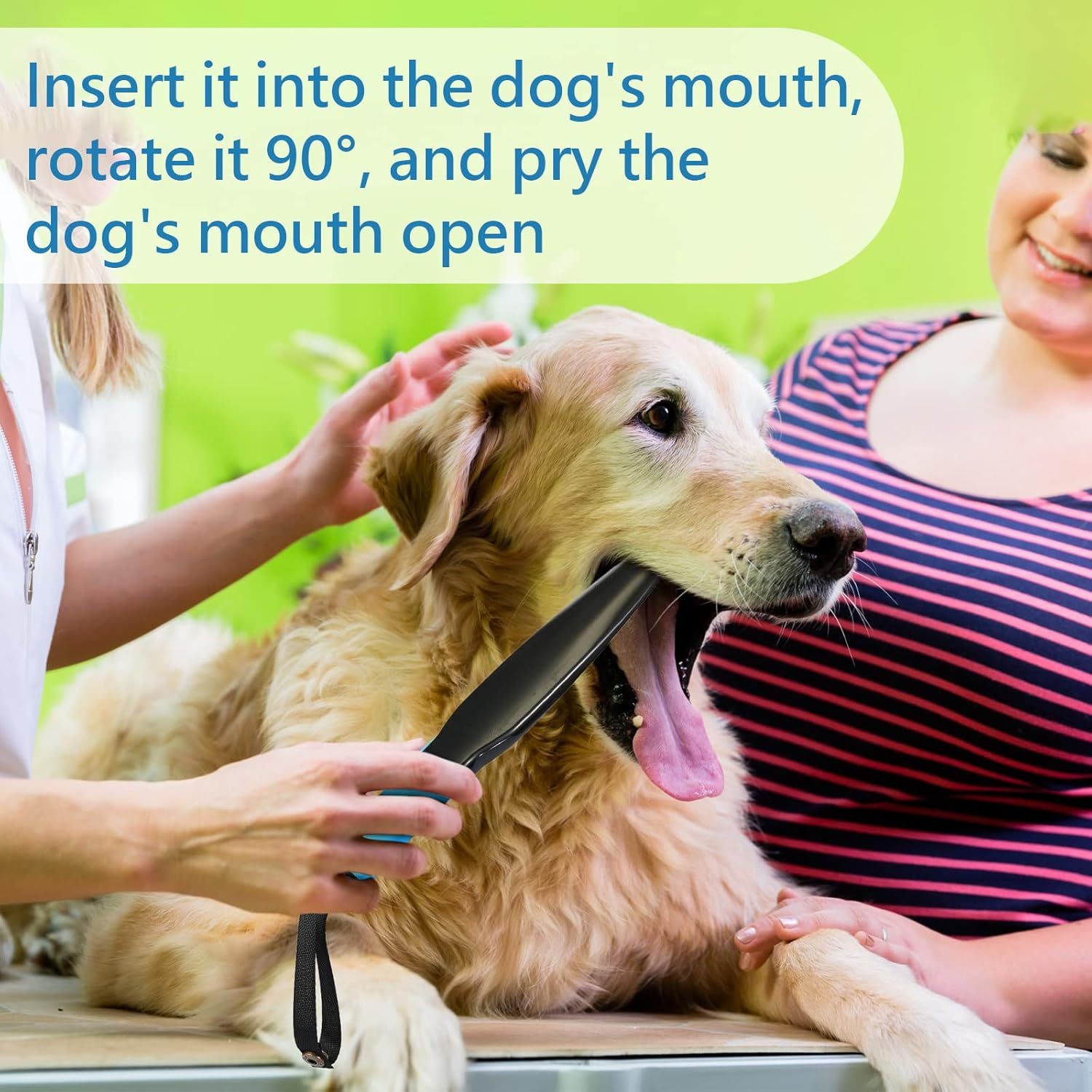 Dog Break Stick Chew Toys For Large & Medium Dogs