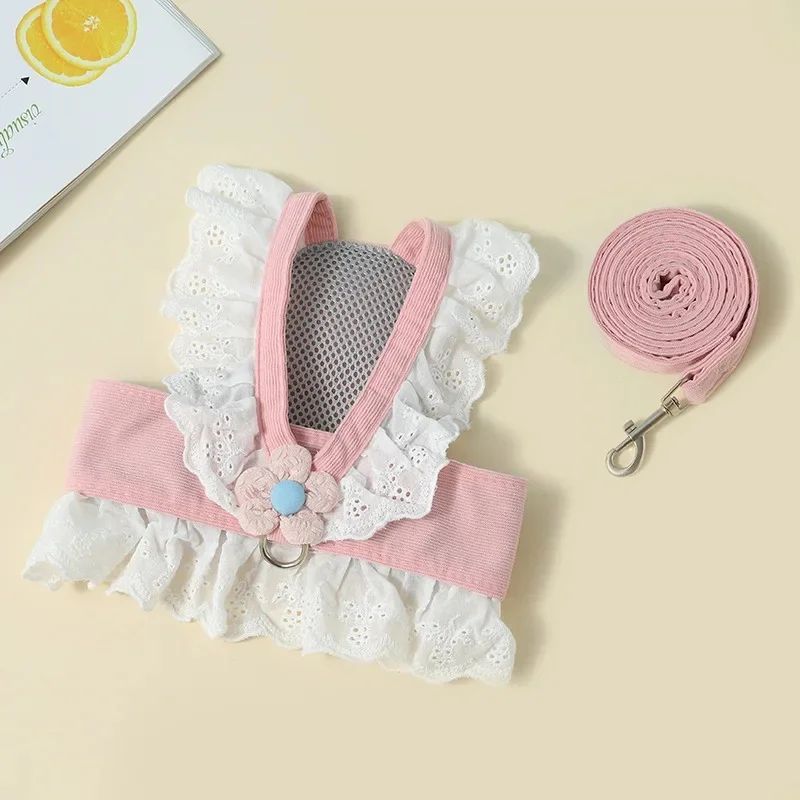 Dog Walking Strap Leash