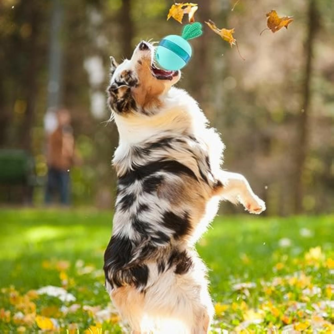 Fun Treat Dispensing Toy for Large Dogs & Cats