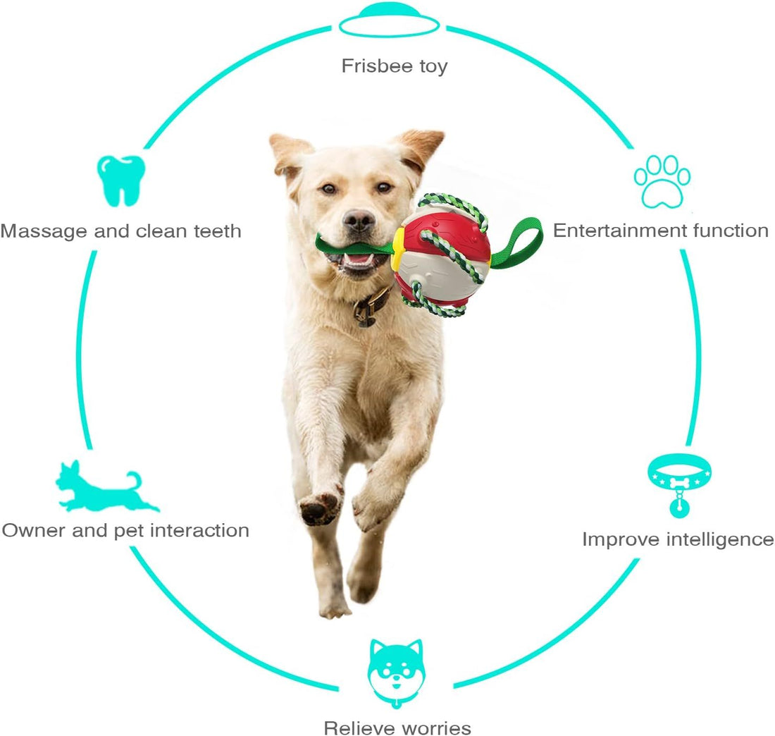 Interactive Dog Toys For Tug Of War For Small Medium Dogs