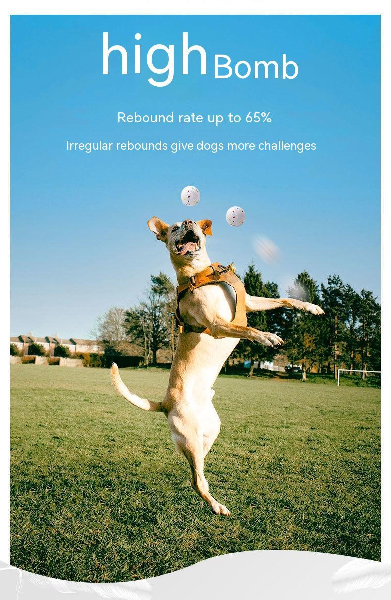 Bite-resistant Large Dog Toy