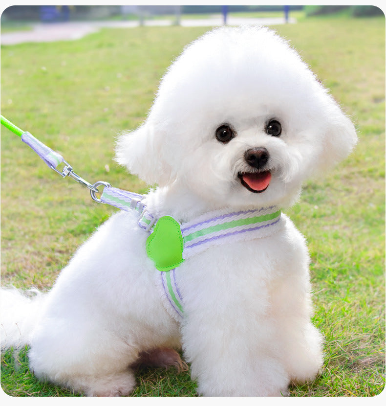 Summer Breathable Corgi Walking Dog Leash