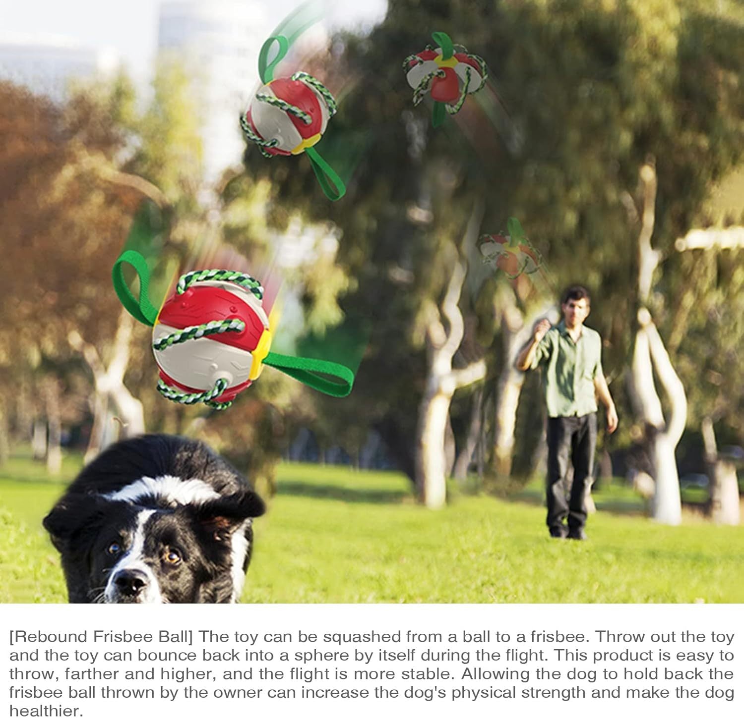 Interactive Dog Toys For Tug Of War For Small Medium Dogs