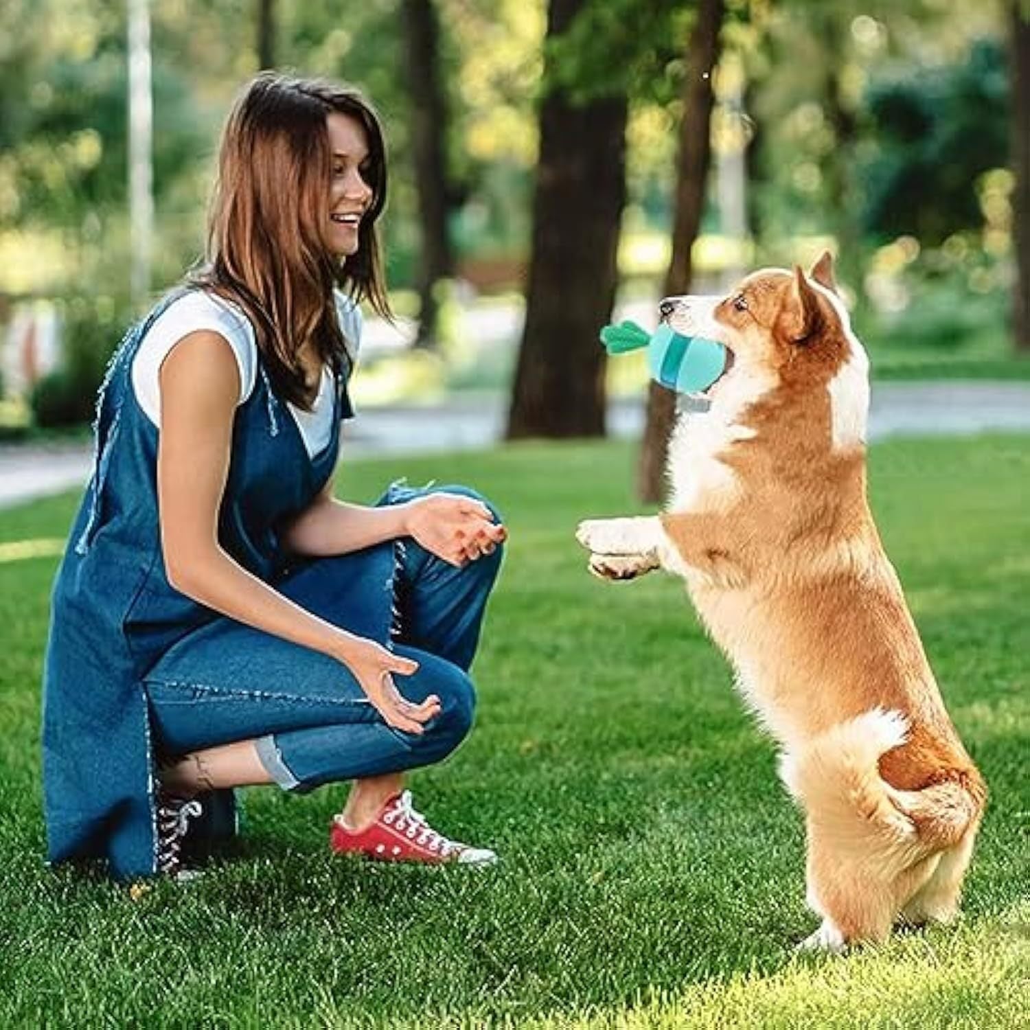 Fun Treat Dispensing Toy for Large Dogs & Cats