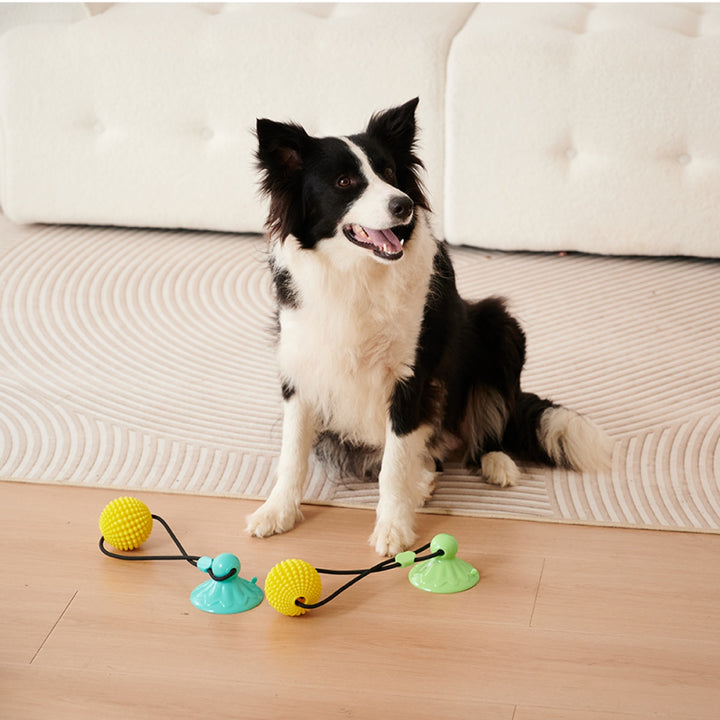 Suction Dog Tug Of War Toys For Medium Large Dogs