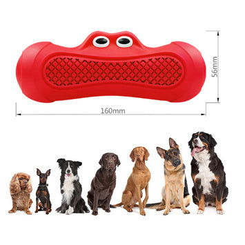 Pet Teeth Chewing Toy