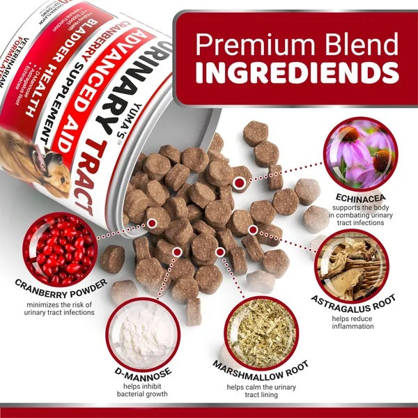 Cranberry UTI Treatment for Dogs - 170 Chews for Bladder Health