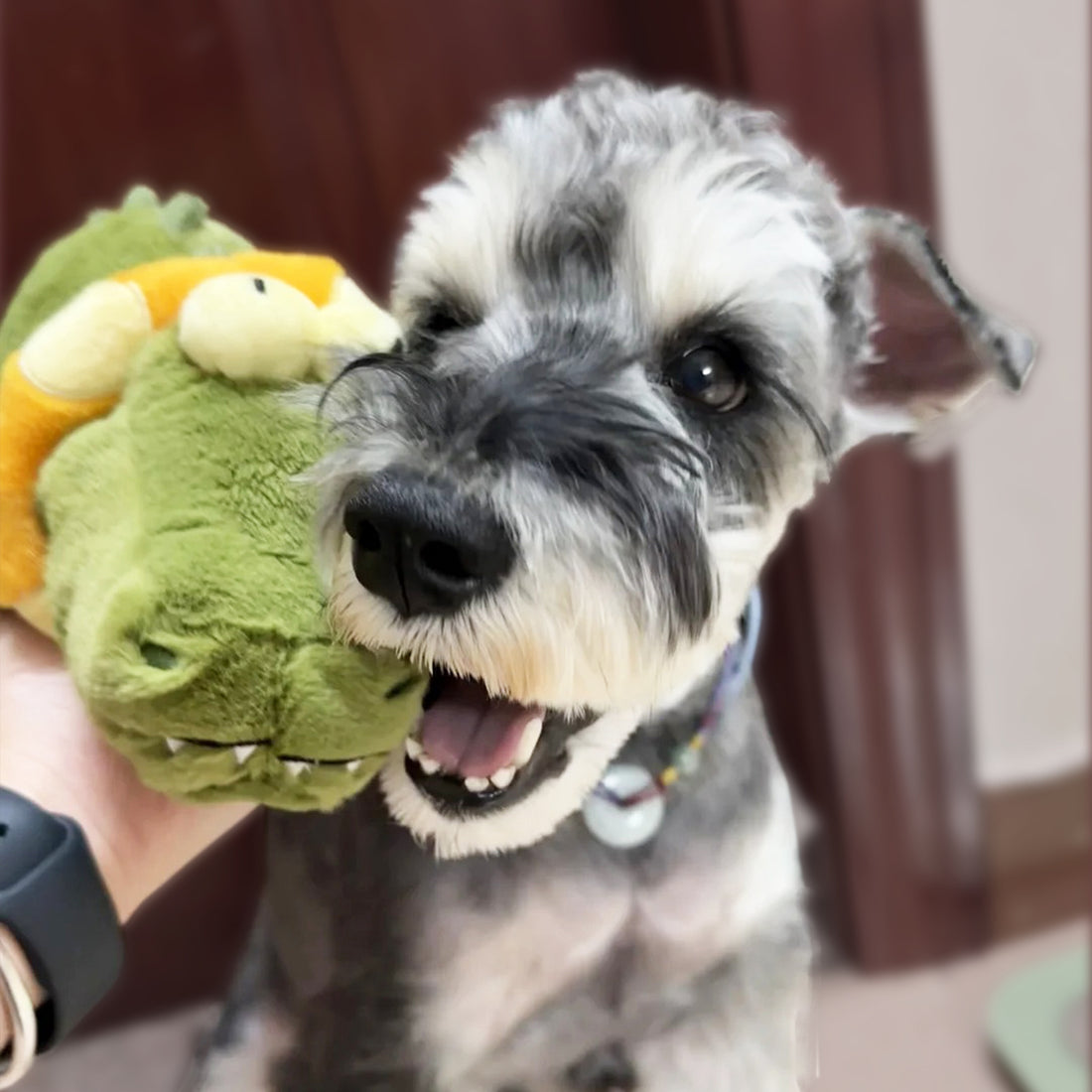 Electric Sound Plush Toy For Small And Medium-sized Dogs