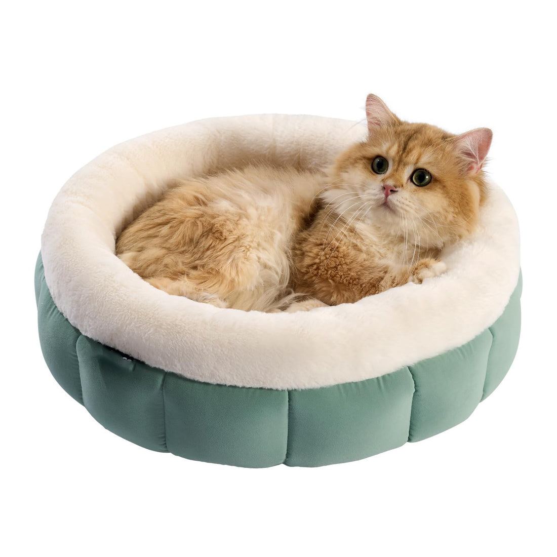 Donut Washable Pet Bed