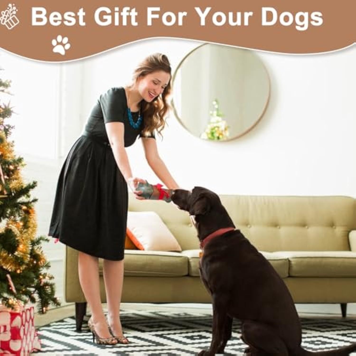 Tough Dog Toys For Aggressive Chewers woman giving a toy to a dog in a cozy living room setting.