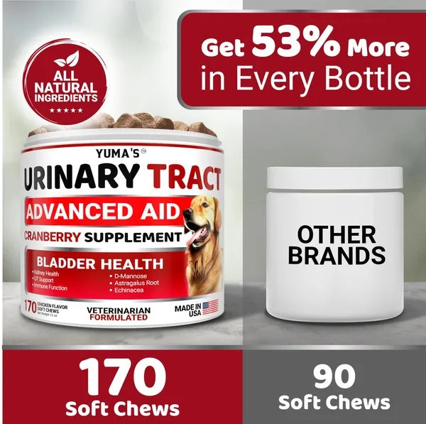 Cranberry UTI Treatment for Dogs - 170 Chews for Bladder Health