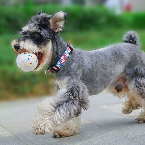 Bite-resistant Large Dog Toy