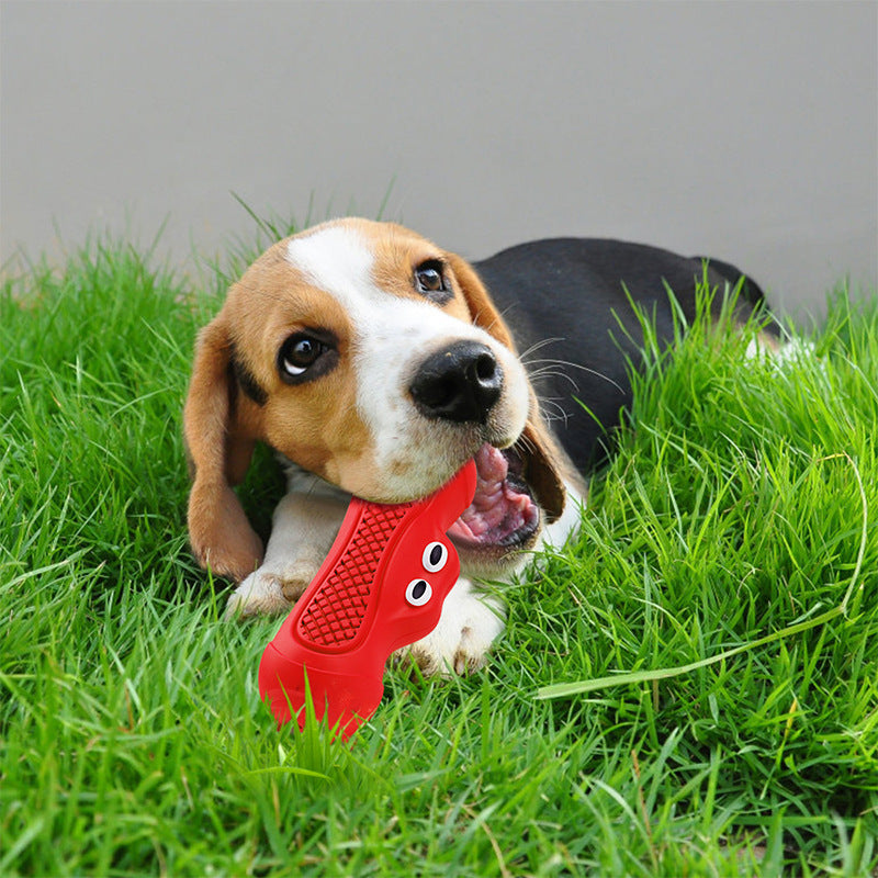 Pet Teeth Chewing Toy