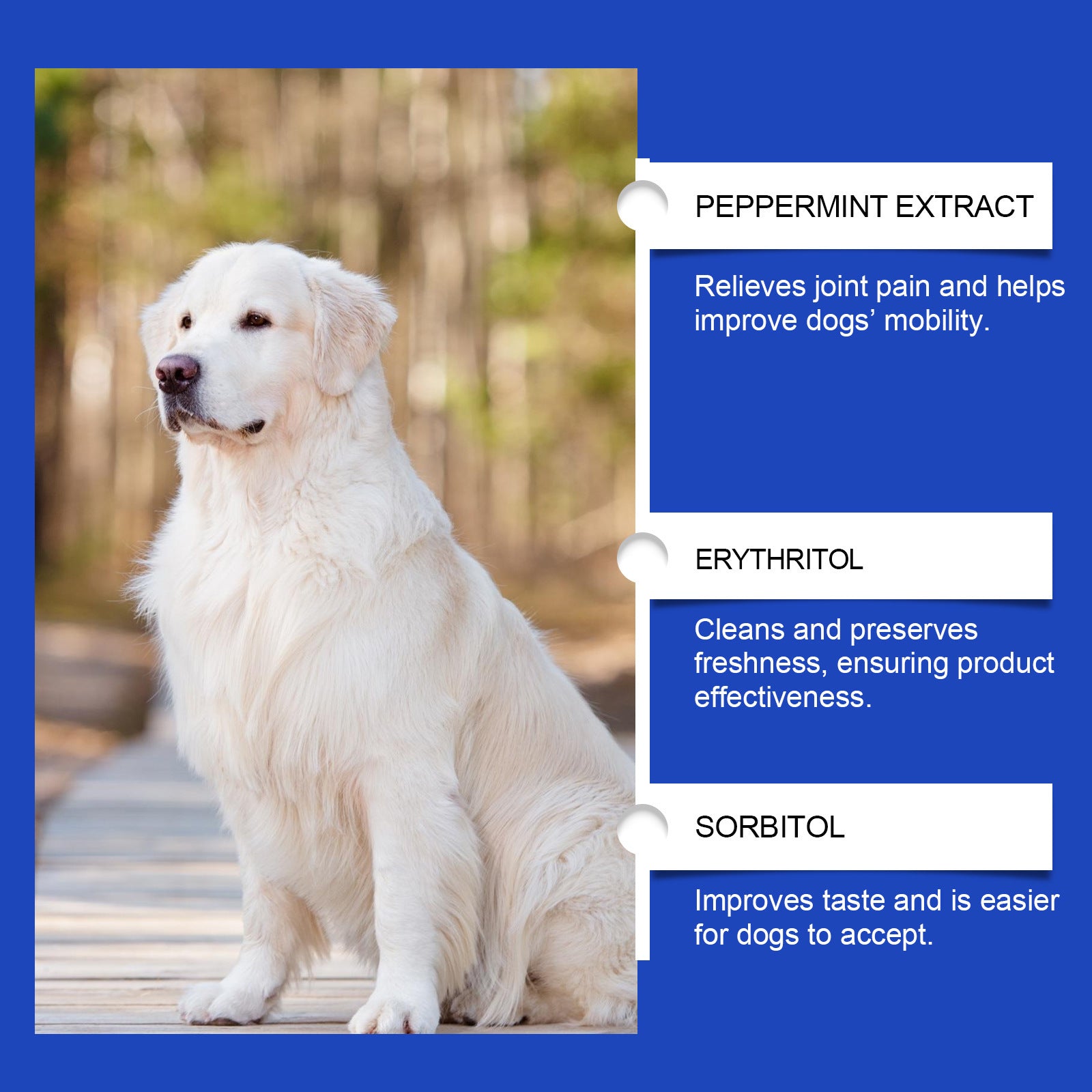 Pet Dog Joint Supplements Improve Nutrition And Care Joint Health