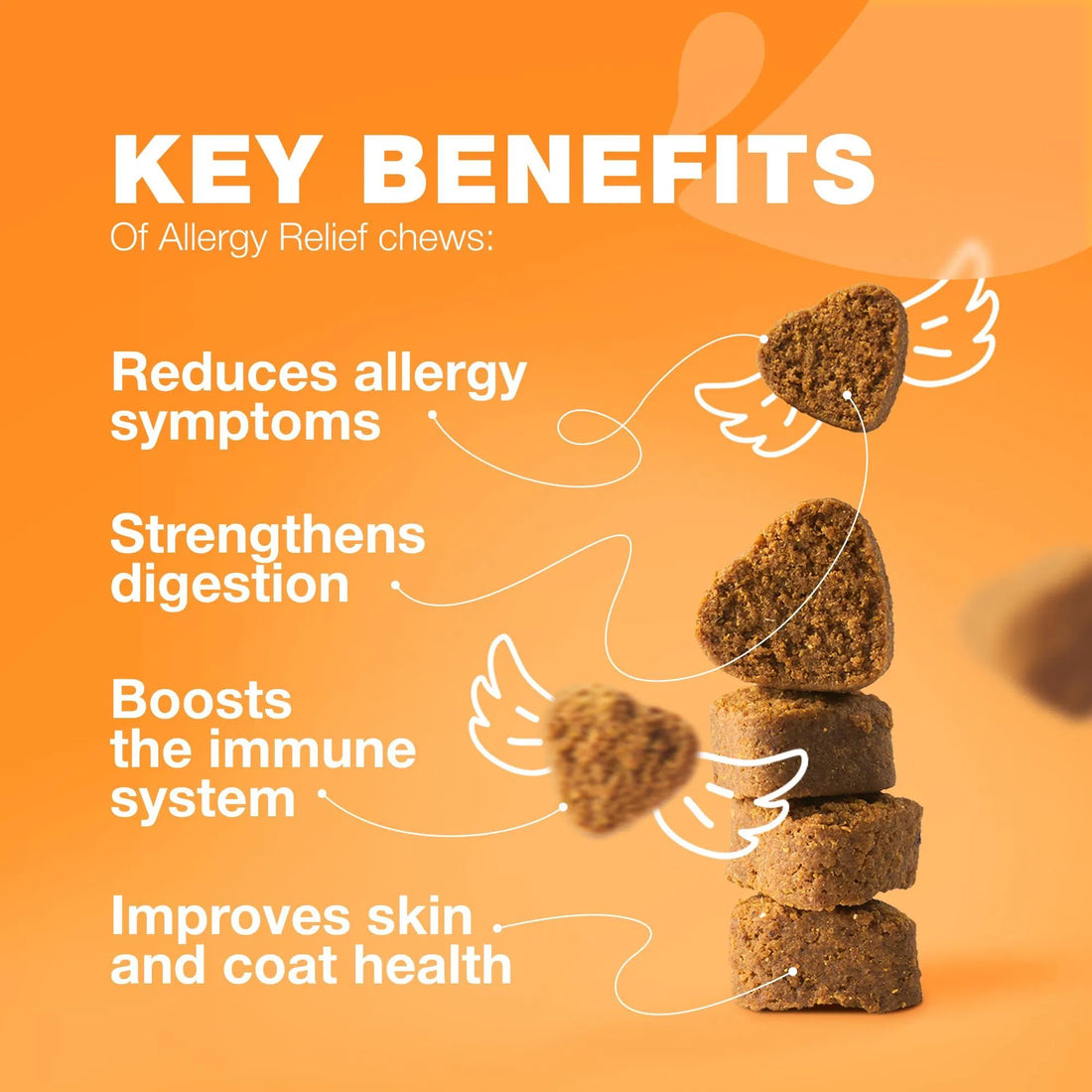 Dog Allergy Relief Chews for Itch and Skin Health Support