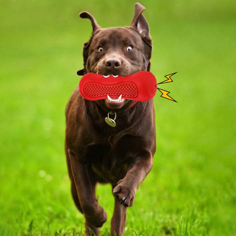 Pet Teeth Chewing Toy