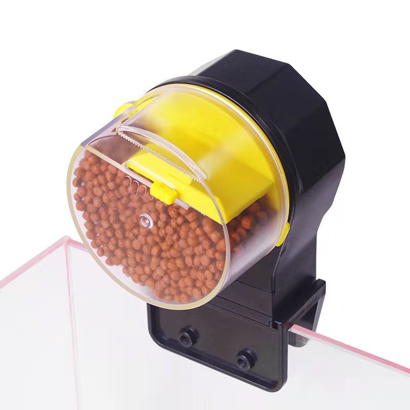 Goldfish Feeding Fish Feeder