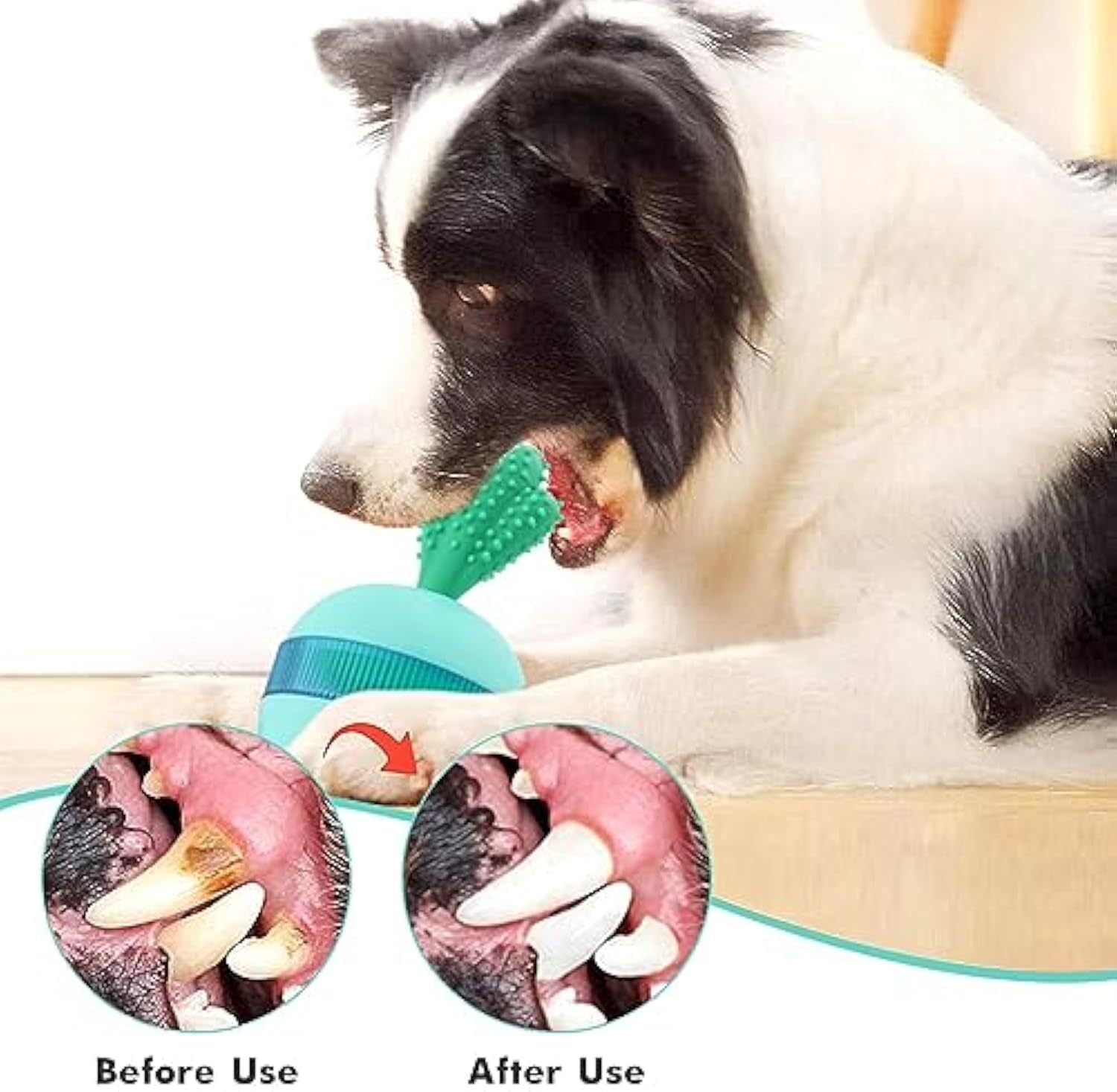 Fun Treat Dispensing Toy for Large Dogs & Cats