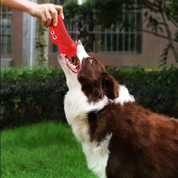 Pet Teeth Chewing Toy