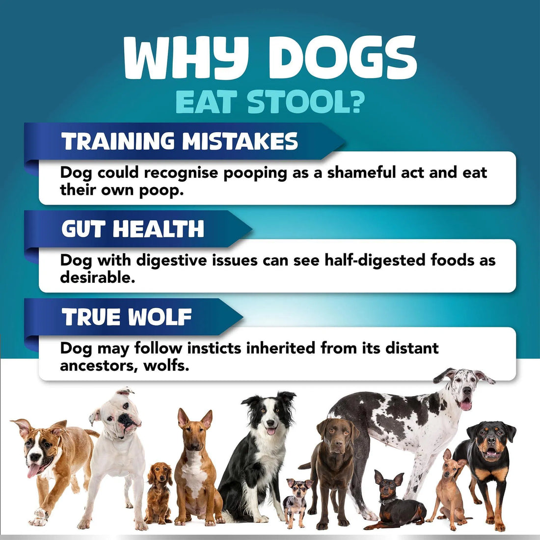 No Poo Chews For Dogs Stop Poop Eating Behavior Probiotics And Digestive Enzymes For Dogs Bad Breath Support For All Breeds Digestive And Gut Health Supplement 180 Soft Chews