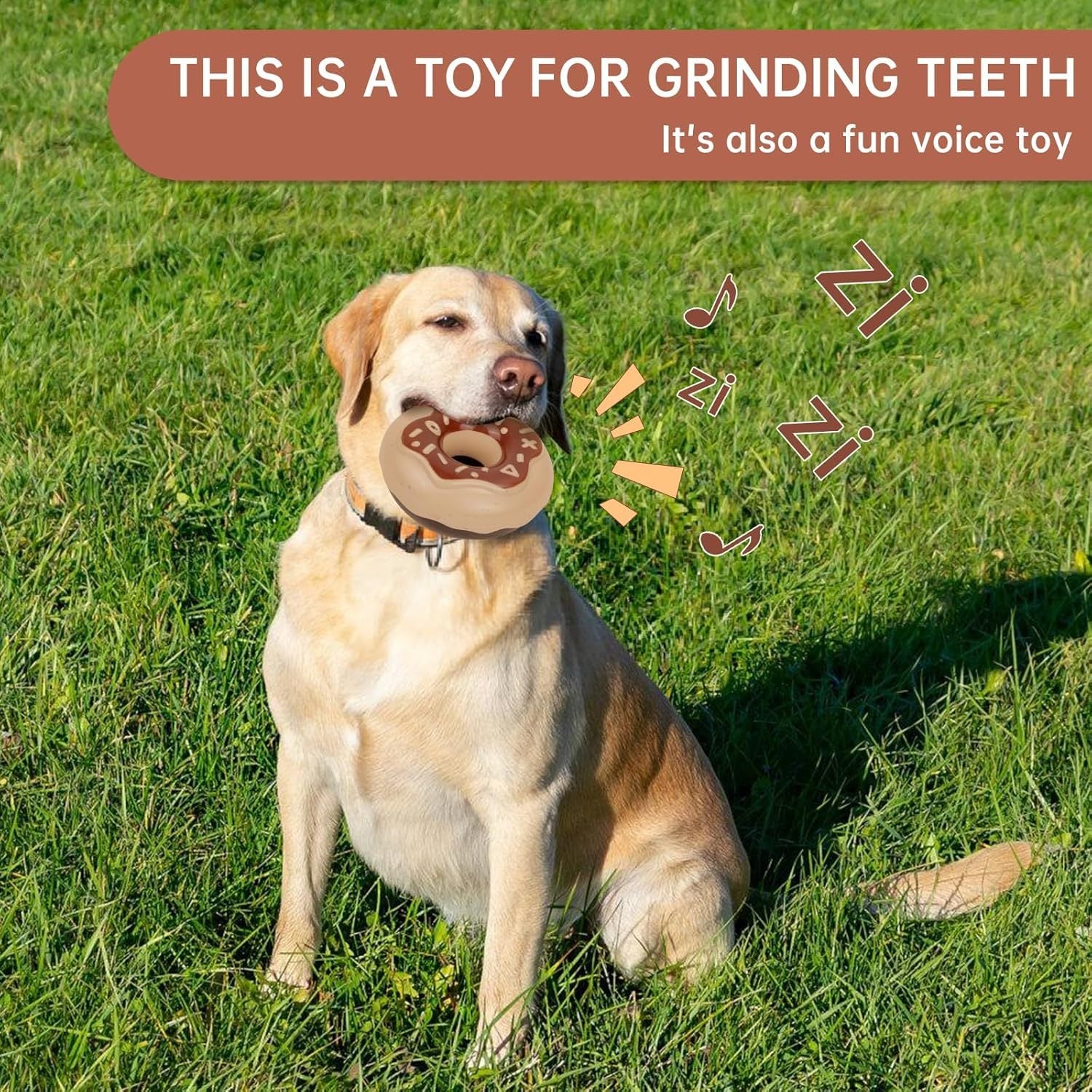 TPR Durable Chewy And Fun Soundmaking Dog Toy