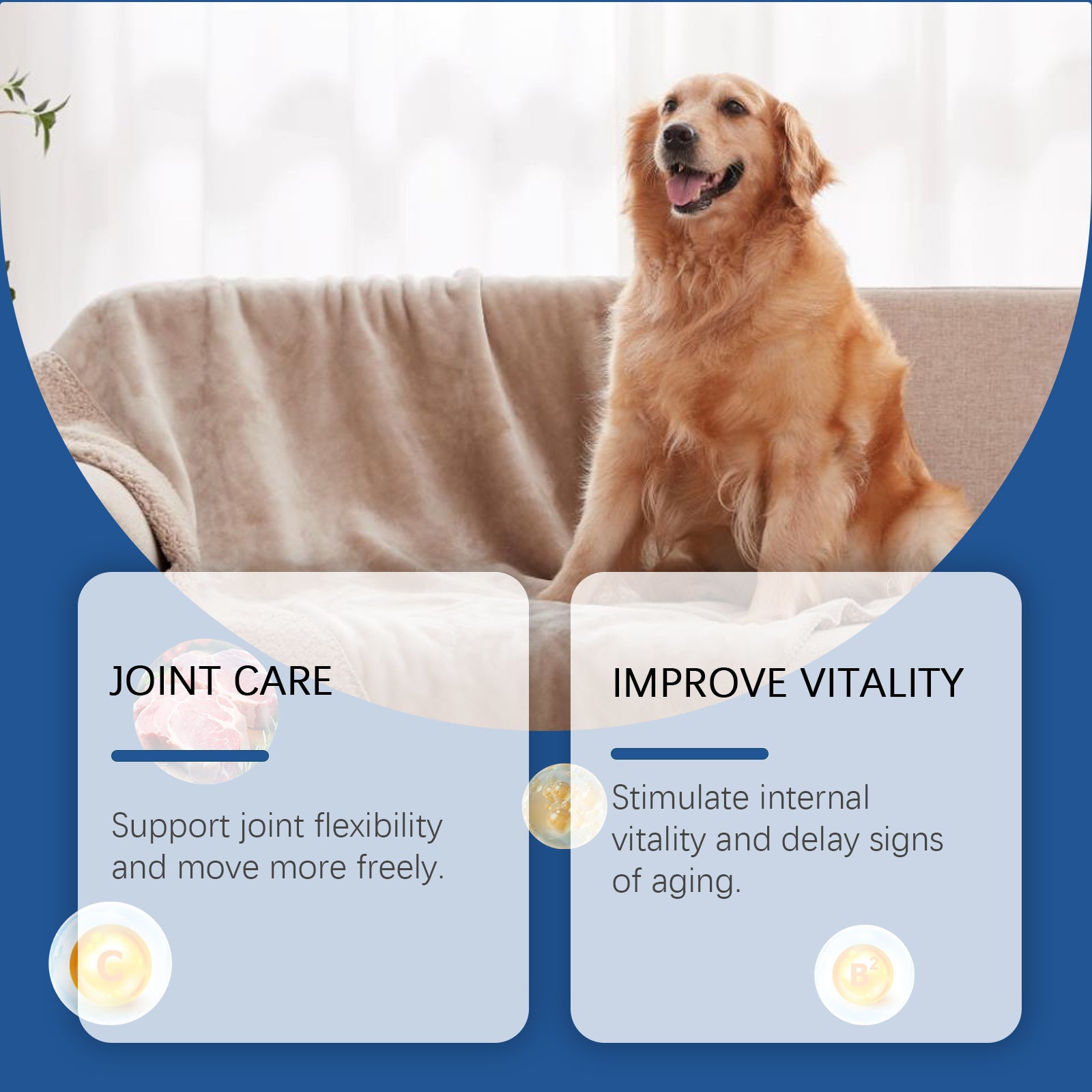 Care Older Dog Calcium Tablets Supplement Nutrition Pet Nutrition